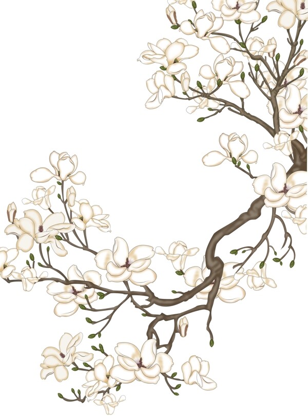 中式花圖玄關(guān)
