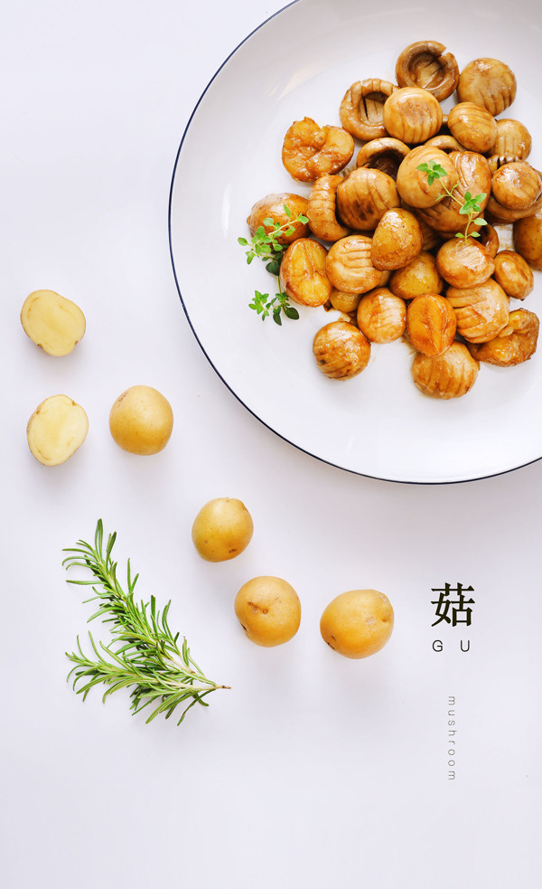 蘑類