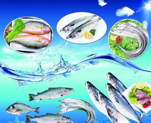 魚