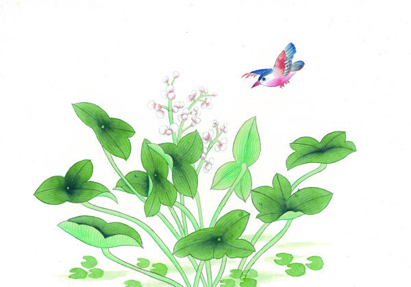 中國(guó)風(fēng)花喜鵲牡丹桃花芍藥小鳥中華藝術(shù)繪畫