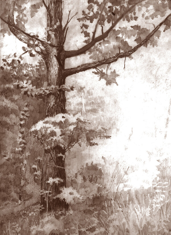 位圖插畫(huà)時(shí)尚插畫(huà)插畫(huà)師藝術(shù)效果免費(fèi)素材