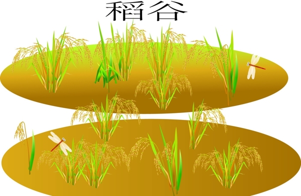 田野稻谷圖片