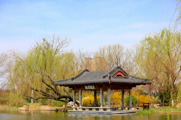 水上休閑小屋圖片圖片