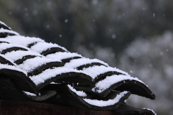 下雪啦圖片