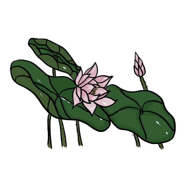 手繪中國風(fēng)荷花PNG素材