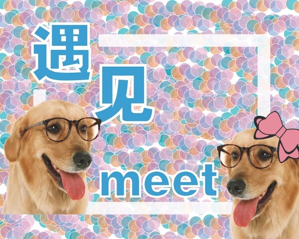 遇見狗狗
