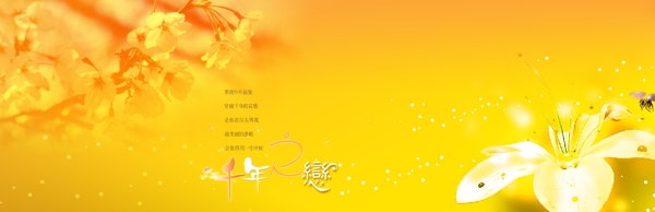 攝影模板圖片
