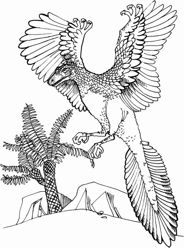 遠(yuǎn)古時代的動物恐龍手繪畫動物素描