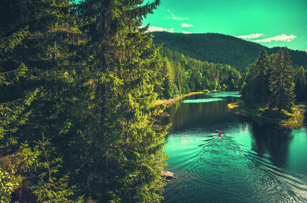 穿越森林河流的划船风景装饰摄影图片