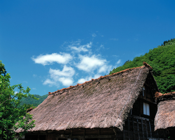 草屋圖片