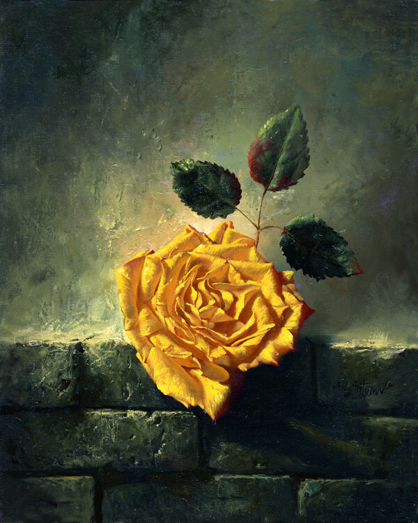 经典黄玫瑰