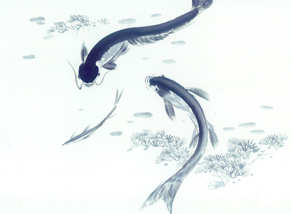 古圖繪畫(huà)動(dòng)物魚(yú)類(lèi)生物