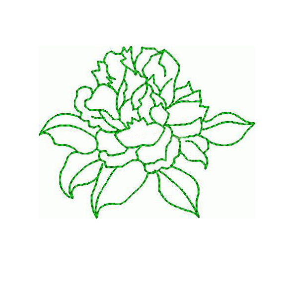 繡花成熟優(yōu)雅女裝植物毛衫印花免費素材