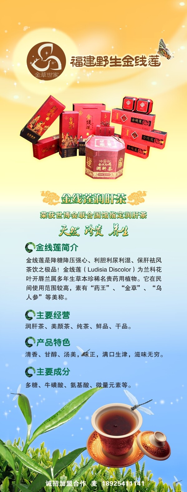 福建野生金線蓮x展架圖片