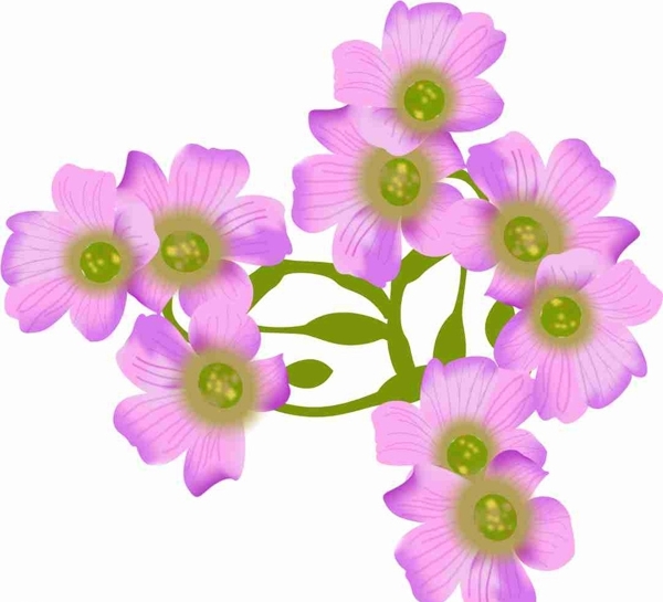 丁香花矢量圖圖片