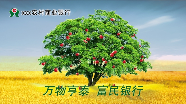 銀行明信片農(nóng)信圖片