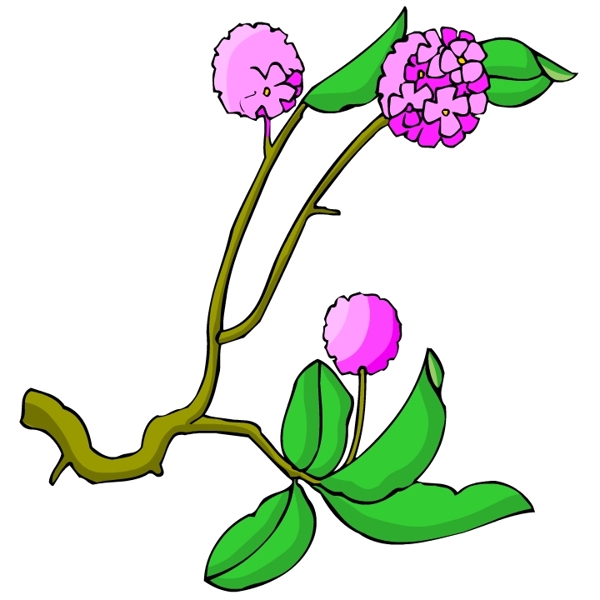 花卉古典插畫