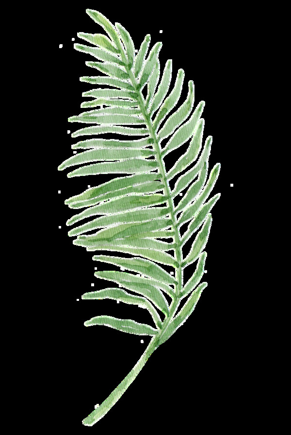 唯美樹枝透明裝飾圖案