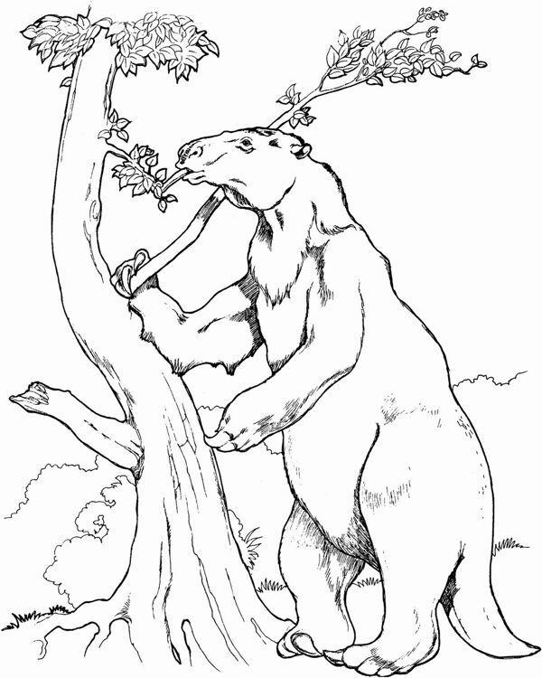手繪動物畫動物素描