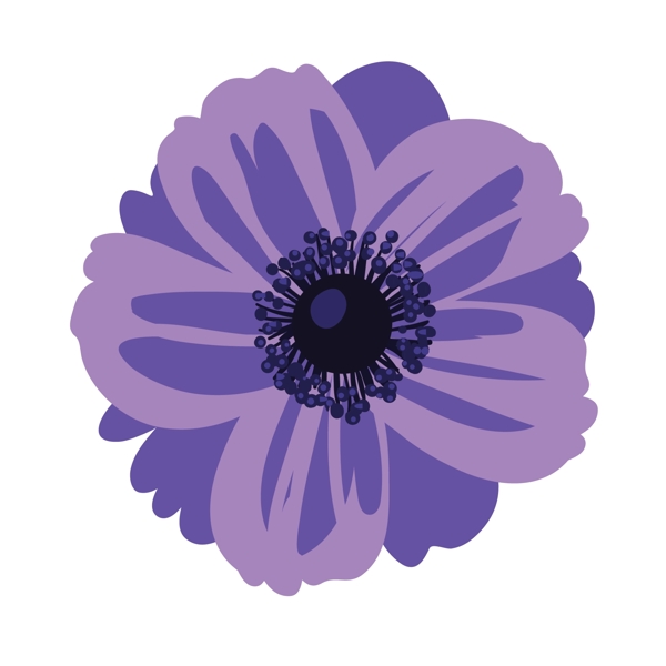 紫色的卡通野菊花花朵