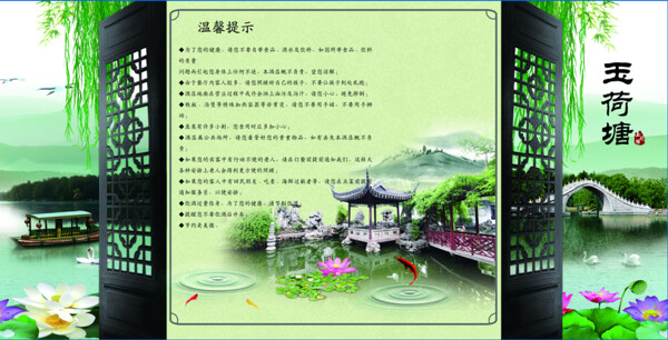 荷花荷塘