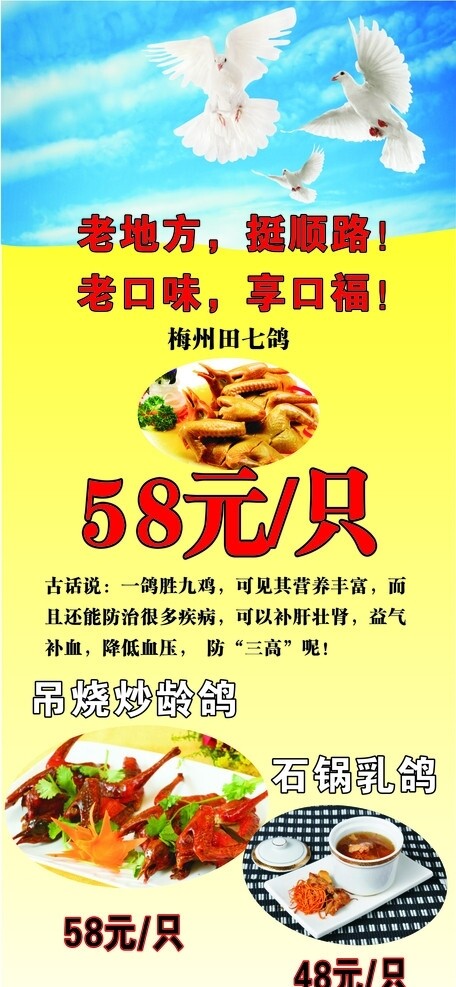 鴿子