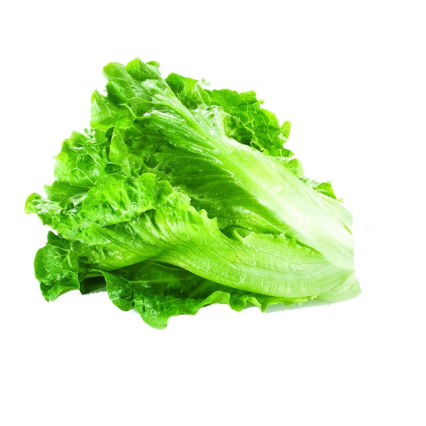 生菜免扣PSD