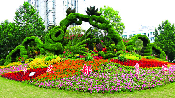 2010杭州获奖花坛图片