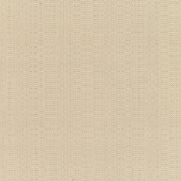 實(shí)物面料男裝梭織免費(fèi)素材