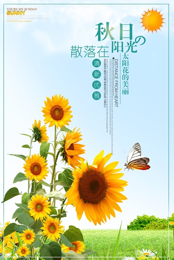清新太阳花阳光海报设计
