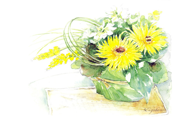 菊花水彩插画
