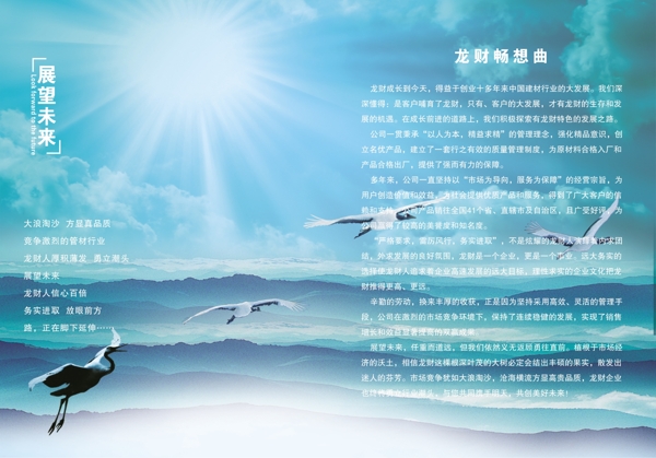 畫冊形象圖片
