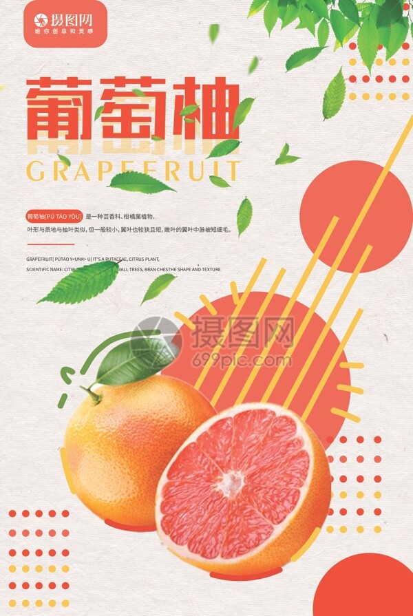 新鲜葡萄柚水果促销海报