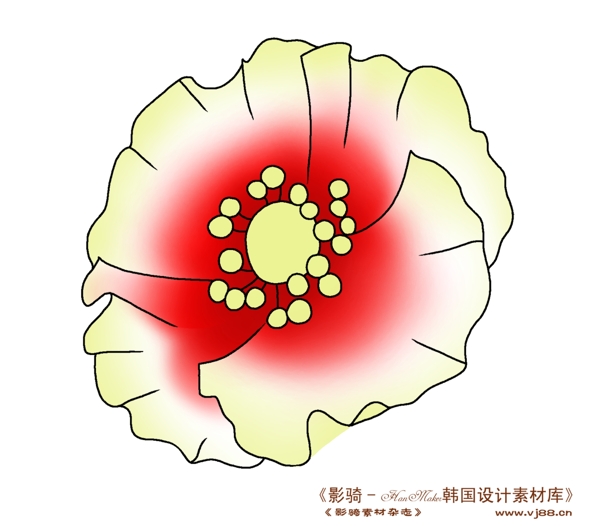 花紋花朵裝飾修飾HanMaker韓國設計素材庫