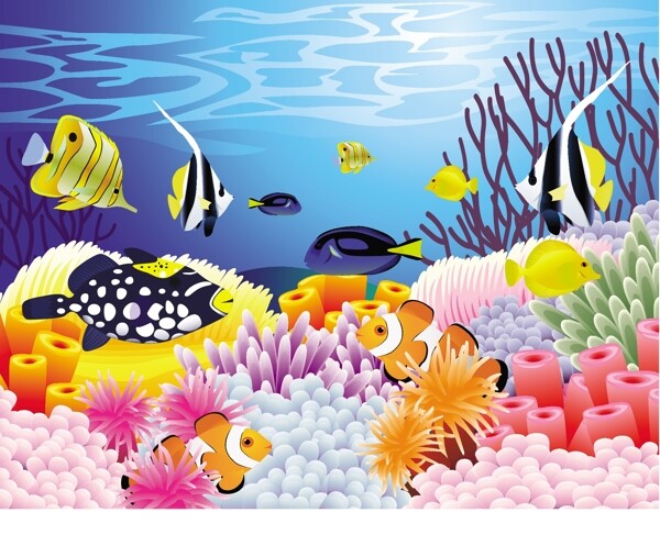 矢量多姿多彩的海洋生物素材