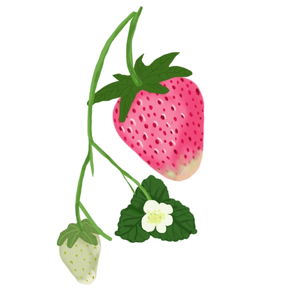 手绘草莓可商用元素