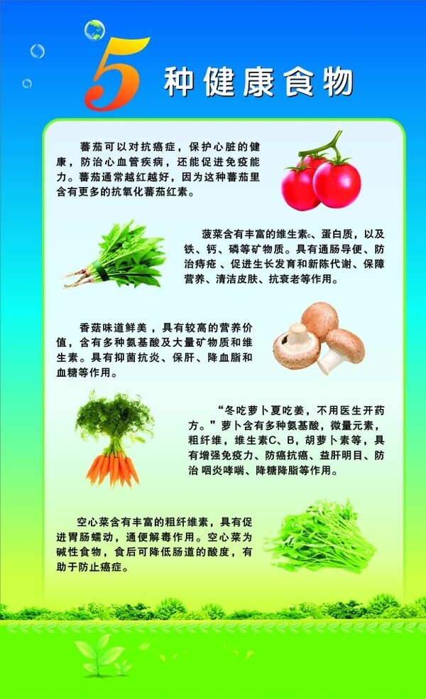 5種健康食物