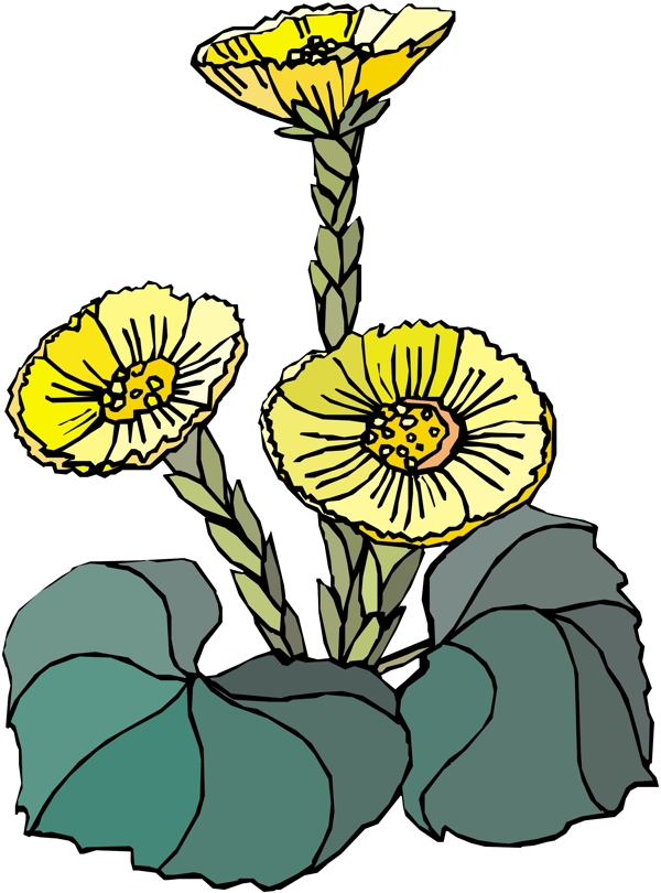 花朵花草鮮花矢量EPS格式1494