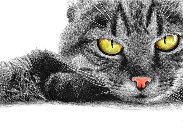位圖插畫時尚插畫動物插畫藝術效果免費素材