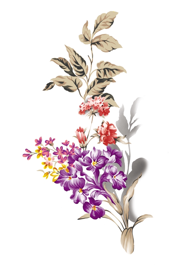 花紋圖片