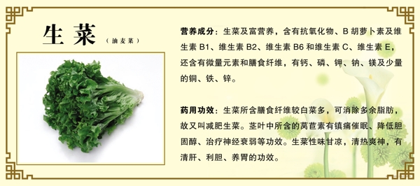 生菜圖片