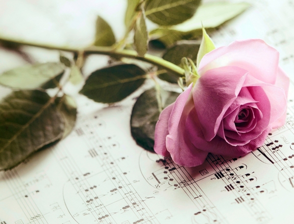 粉色花朵与音乐谱图片