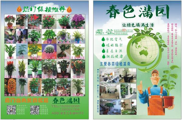 綠植宣傳單CDR