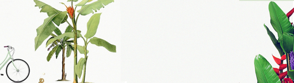 清新綠色樹葉banner背景素材