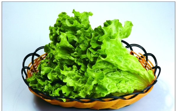生菜圖片