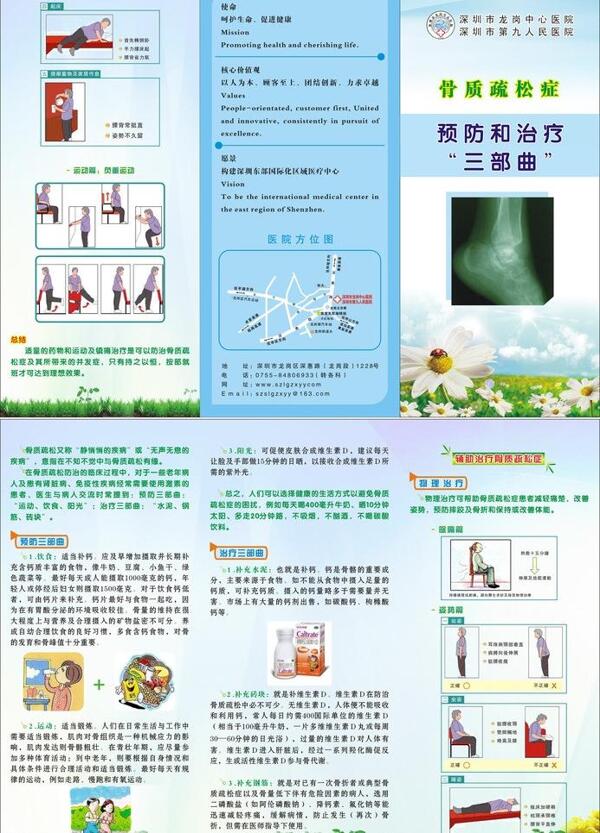 骨質(zhì)疏松預(yù)防和治療三折頁圖片