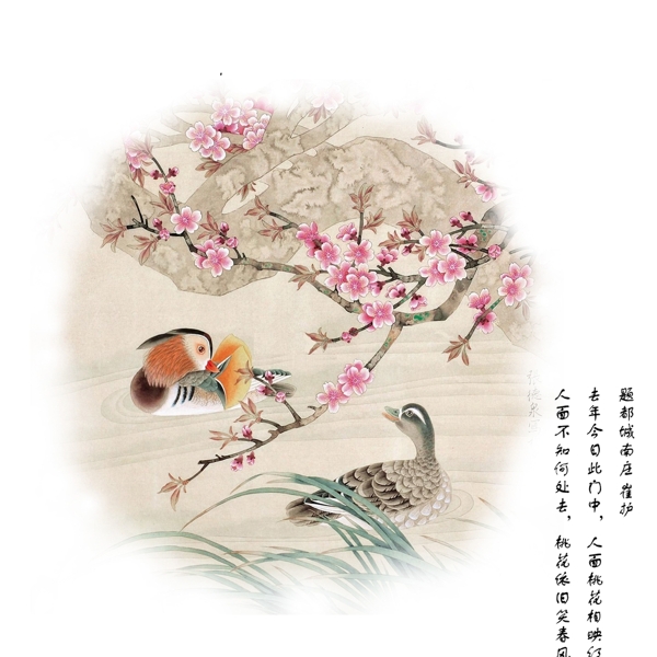 桃花