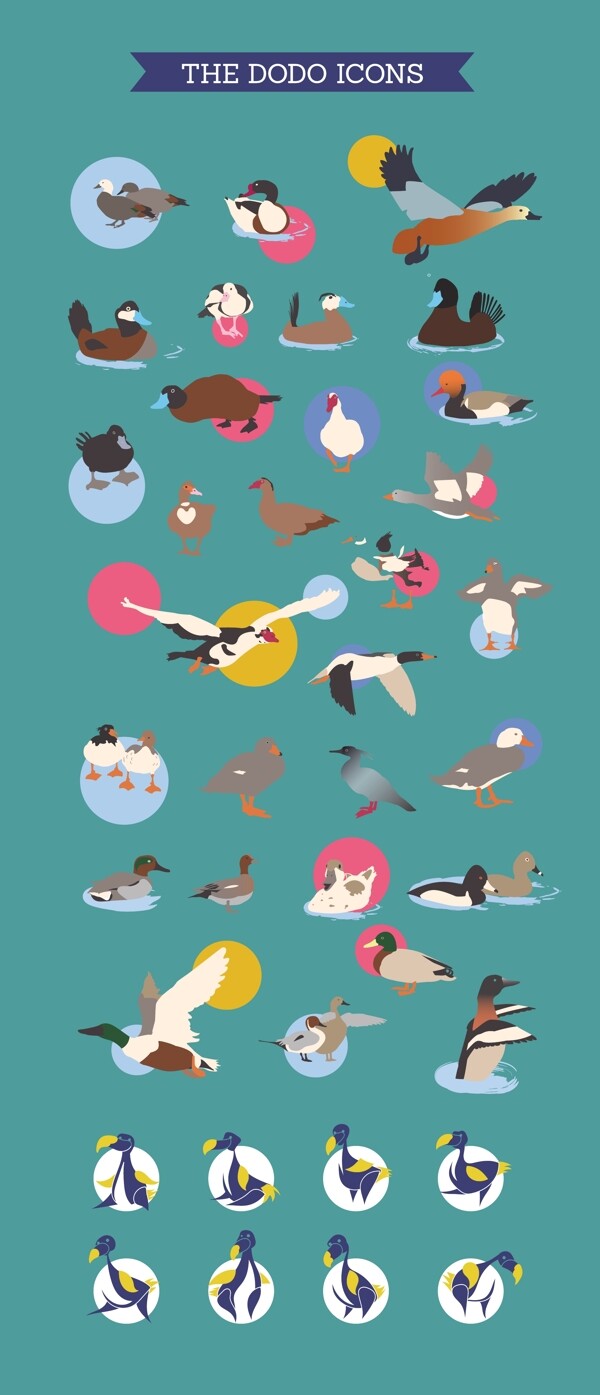 矢量元素彩色海报杂志素材鸟类介绍教育背景