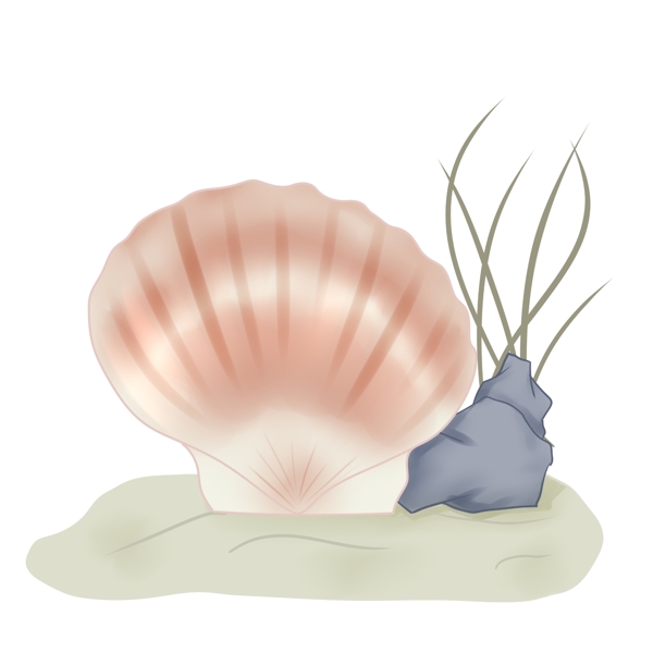 漂亮的海鲜蚌插画