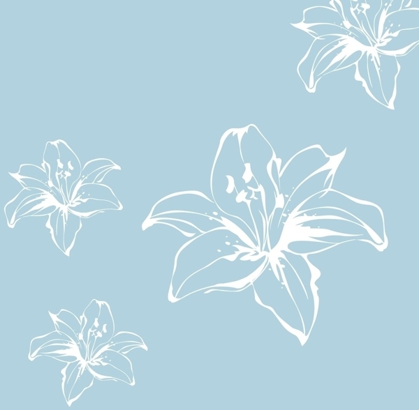 百合花